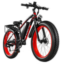 Heavy Duty Fat Tire Electric Bike