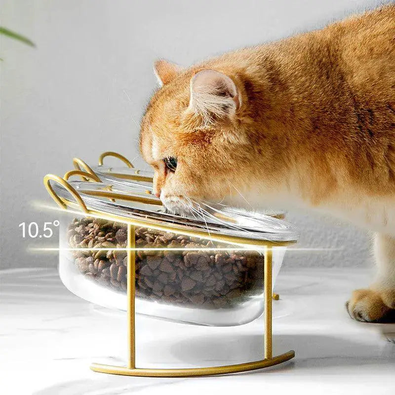 Elevated Glass Cat Bowls With Stand For Stylish Feeding