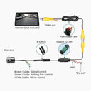 Clear Back Up Camera for Safer Parking