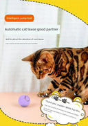 Autonomous Jumping Ball Cat Toy Indoors