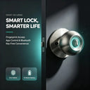 Smart Tuya Fingerprint Interior Lock