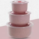 Wheat Straw Bowl Set - Eco Friendly Food Storage
