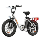Powerful Fat Tire Electric Bike