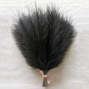 Low Maintenance Pampas Bouquet for Decor