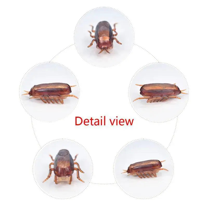 Interactive Ladybug Cat Toy For Engaging Pet Playtime Robot