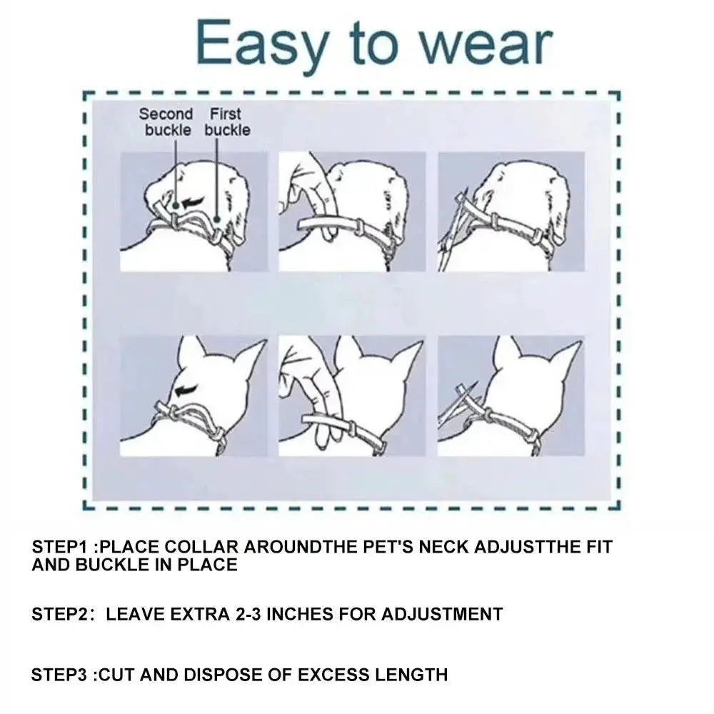 Adjustable Vet Anti Flea Tick Collar For Cats And Dogs