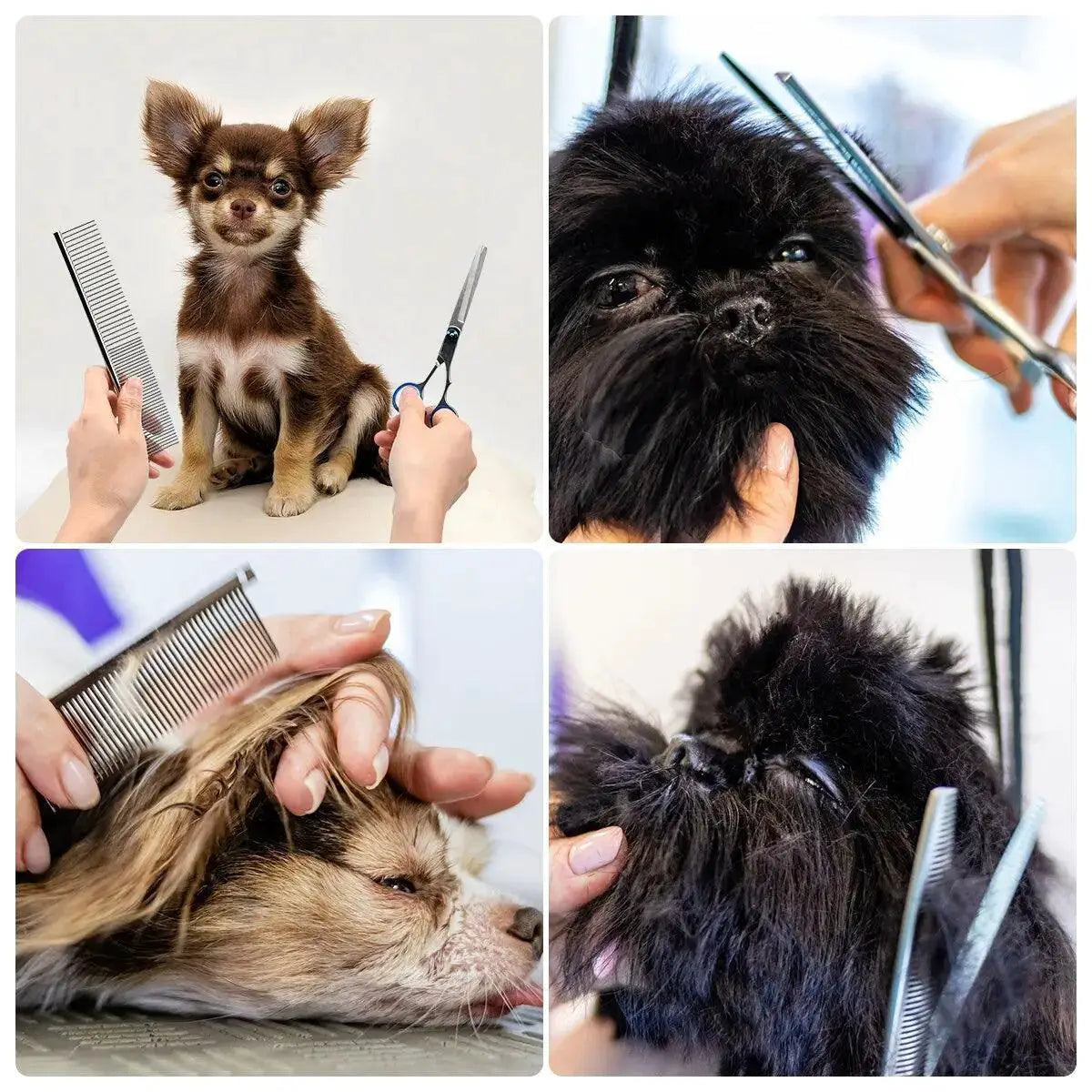 Stainless Steel Dog Grooming Scissors Set for Professionals