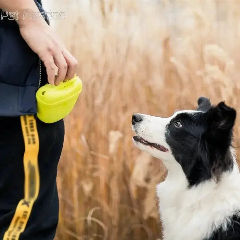 Portable Pet Training Bag Durable Food Reward Pouch