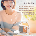 Bluetooth FM Radio Audio Speaker
