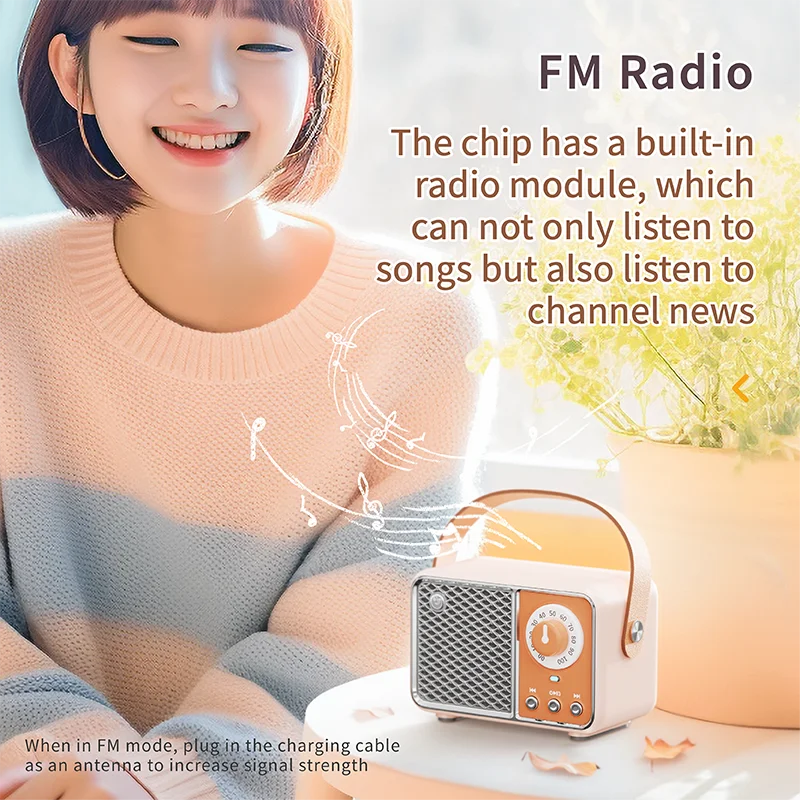 Bluetooth FM Radio Audio Speaker
