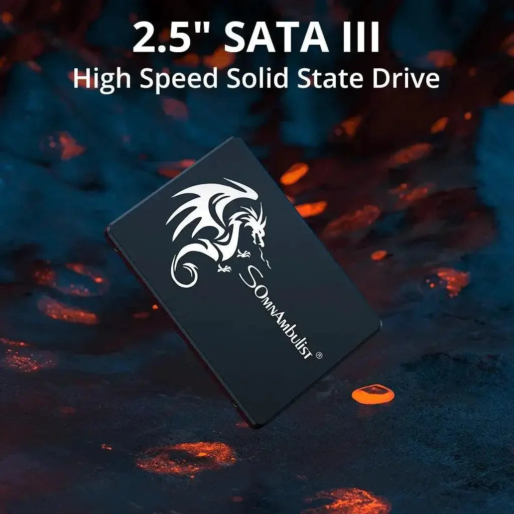 SomnAmbulist High Speed RGB SSD for PC Laptop Internal Drive