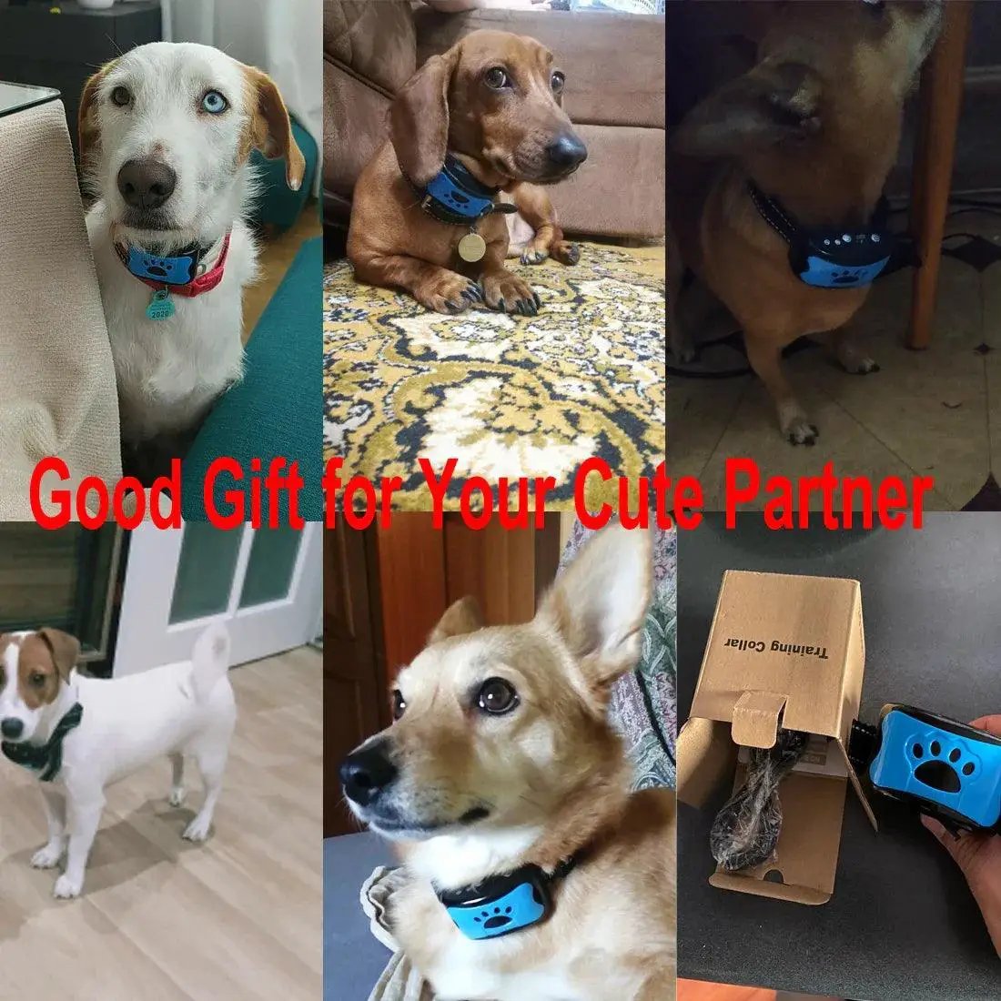 Dog Training Collar Ultrasonic Vibration Anti Bark Solution