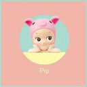 Collectible Sonny Angel Blind Box Toys