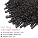 Curly Brazilian Lace Front Wig