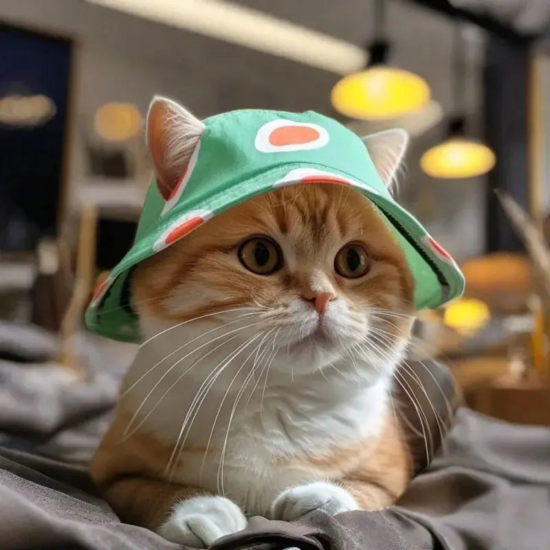 Cute Cat And Dog Sun Hat With Exposed Ears For Pets Outdoor
