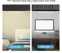 Wireless LED Night Light Motion Sensor Light For Closet