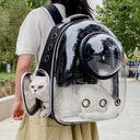 Pet Capsule Backpack With Clear Window And Ventilation