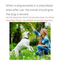 Potty Training Spray for Dogs and Cats