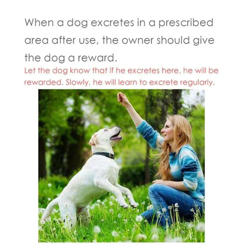 Potty Training Spray for Dogs and Cats Fixed Spot Trainer