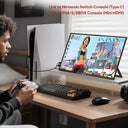 18.5 In Touchscreen Portable Monitor