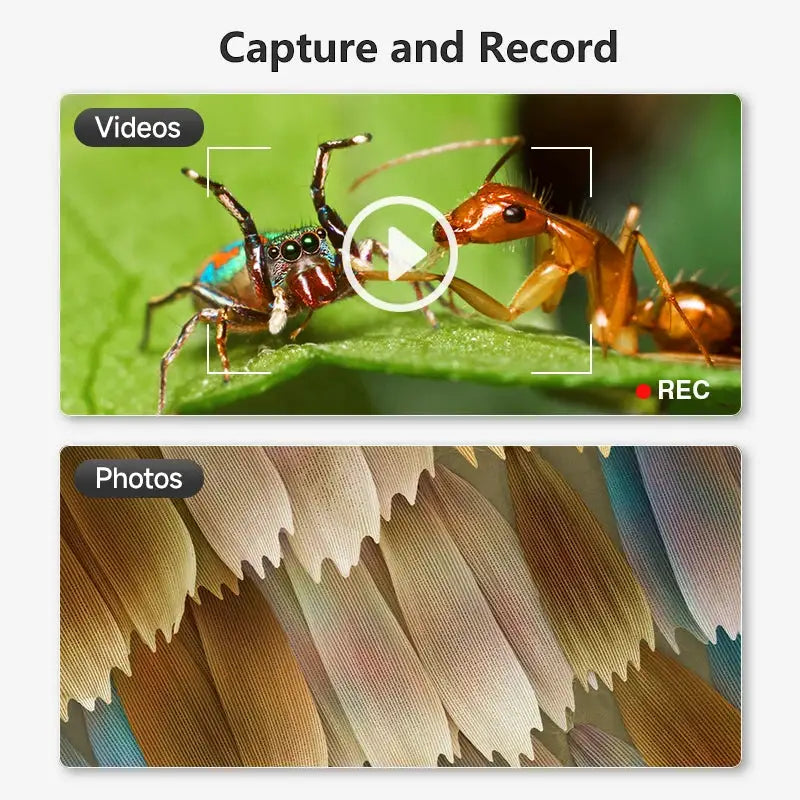 Hayve Digital Usb Microscope — product view 3