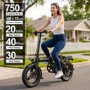 Lightweight Foldable Electric Bike