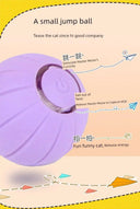 Autonomous Jumping Ball Cat Toy Indoors