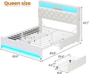 Queen Bed Frame