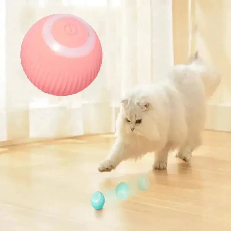 Electric Smart Cat Ball Toy For Interactive Kitten Fun