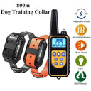 Dog Training Collar: Upgrade Your Dog's Behavior Today