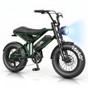 Qlife Spark D1 Fat Tire Electric Bike
