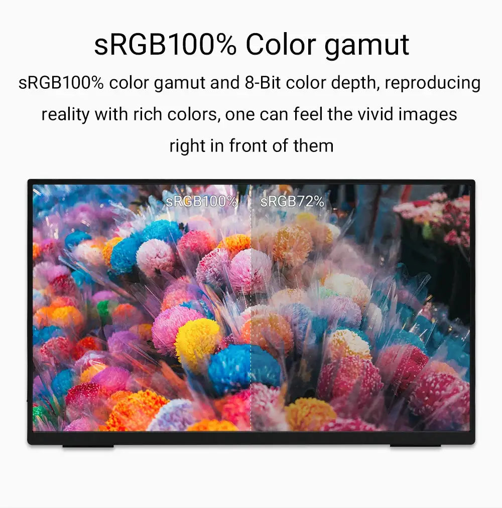 ZSUS 18-Inch 1080P 100Hz 100%sRGB Portable Monitor 16:9 HDR 350cd /M² For XBox PS4 / 5 Switch Cell Phone PC Loptop Extension