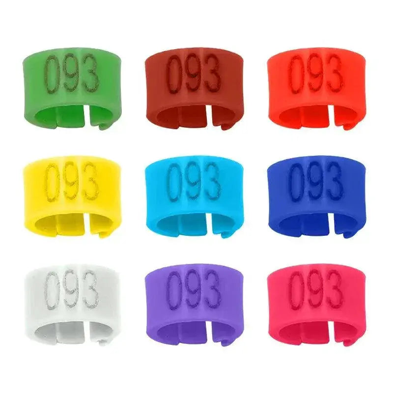 Colorful Bird Training Rings For Parrot Training Tools