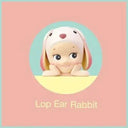 Sonny Angel Adorable Anime Doll Gift For Kids Surprise