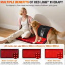 Physiotherapy Lamp