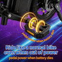 Lightweight Folding Electric Bike