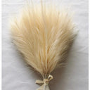 Effortless Pampas Grass Decor for Home