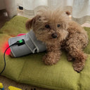 Red Light Therapy Pad For Dogs Pain Relief Fast At Home Veterinary Device
