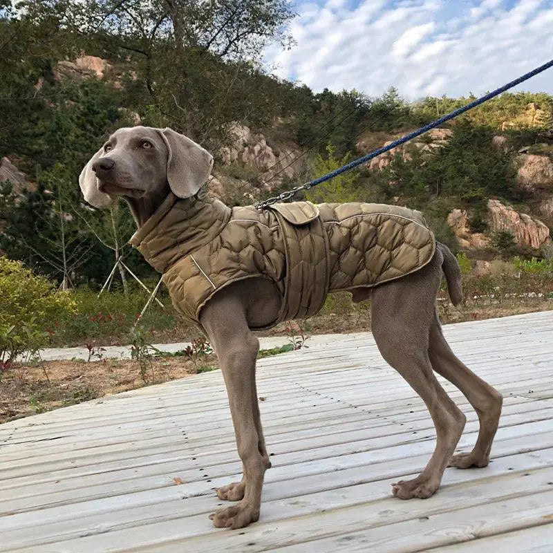 Reflective Large Dog Winter Coat for Whippets and Greyhounds