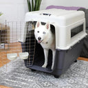 Airline Approved Plastic Dog Kennel Carrier Durable Secure