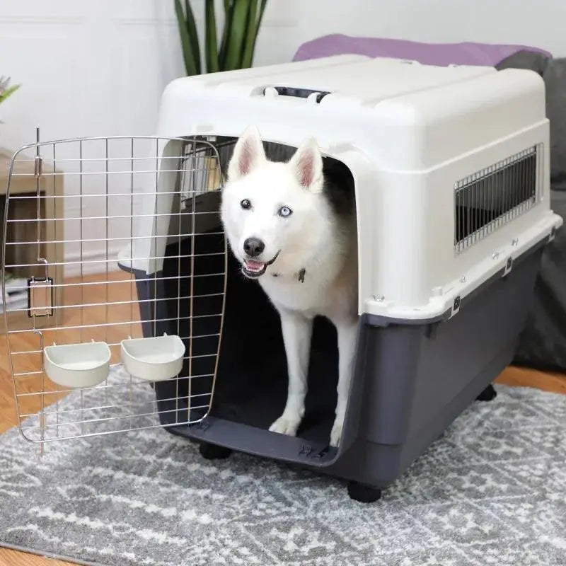 Iata Approved Plastic Dog Kennel Carrier Durable And Secure