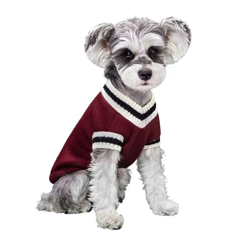 College Style V Neck Pet Sweater For Small Medium Dogs Cats