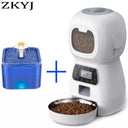 Pet Feeder With Water Fountain