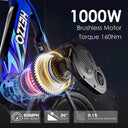 Hezzo Carbon Fat Tire Ebike