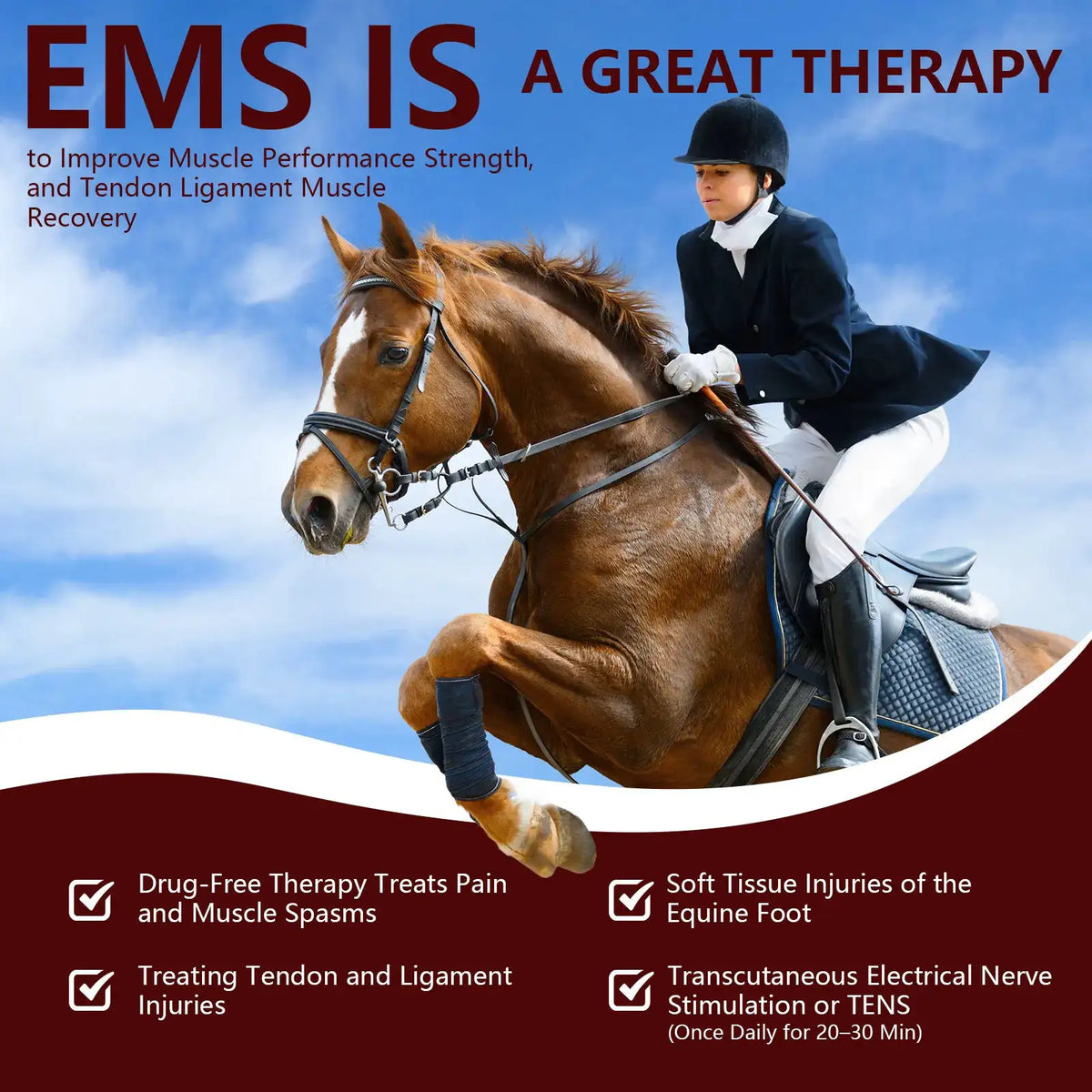 Laser Therapy Device for Horse Pets Humans Upgraded Red Light — product view 4