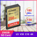 SanDisk High Speed SD Memory Card