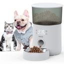 Iseebiz Automatic Pet Feeder with Camera and App Control