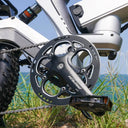 Cybervelo 20 Inch Fat Tire Electric Bike