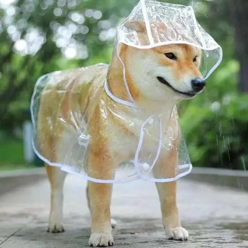 Transparent Dog Raincoat Hooded Waterproof Jacket for Pets