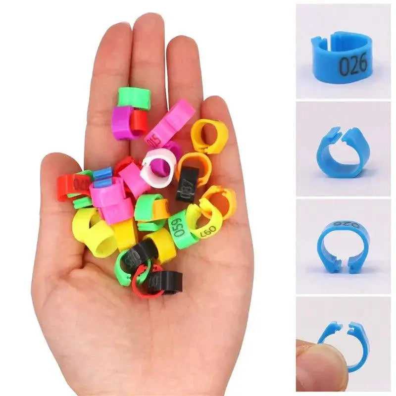 Colorful Bird Training Rings For Parrot Training Tools